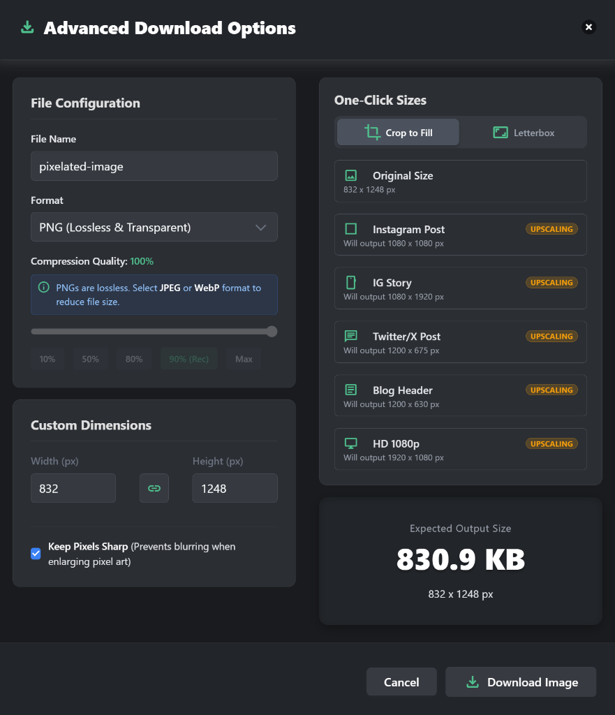 Advanced Download Tool Preview